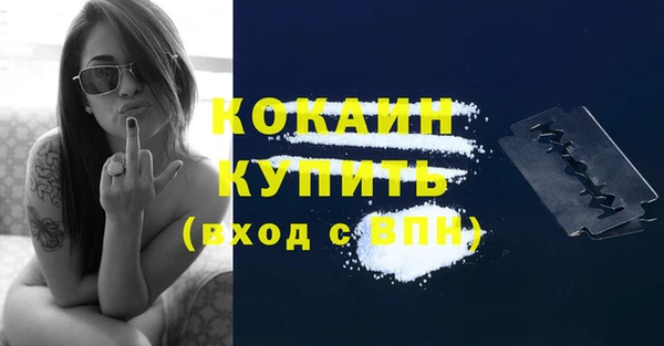 прущие грибы Медвежьегорск