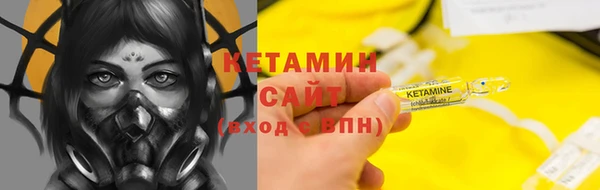 прущие грибы Медвежьегорск