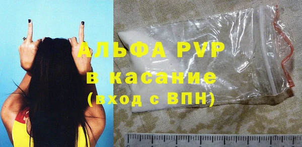 прущие грибы Медвежьегорск