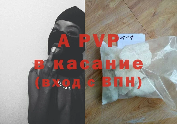 прущие грибы Медвежьегорск