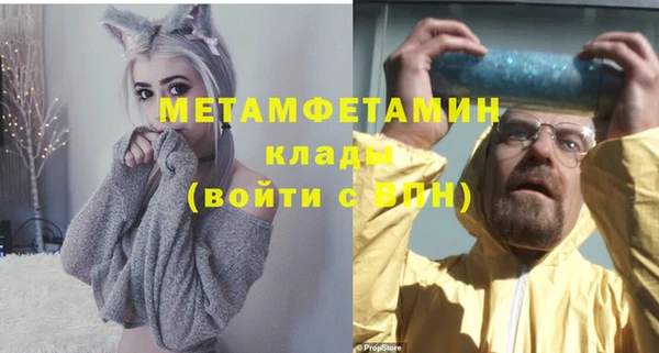 прущие грибы Медвежьегорск