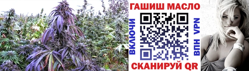 цена   Черемхово  гидра ссылки  ТГК концентрат 