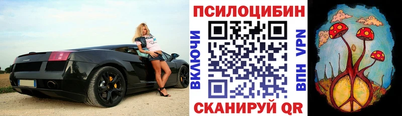 Псилоцибиновые грибы Magic Shrooms  Черемхово 