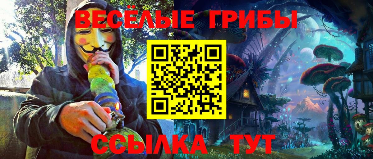Черемхово  Галлюциногенные грибы Cubensis  закладки  Вход с VPN 
