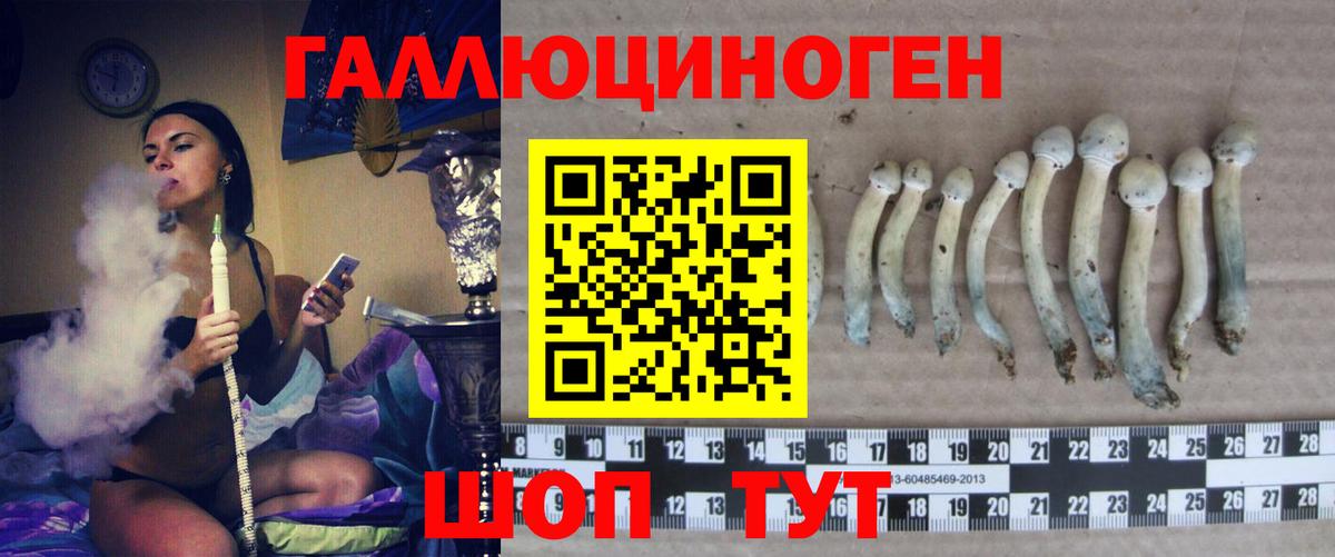 Псилоцибиновые грибы GOLDEN TEACHER Черемхово